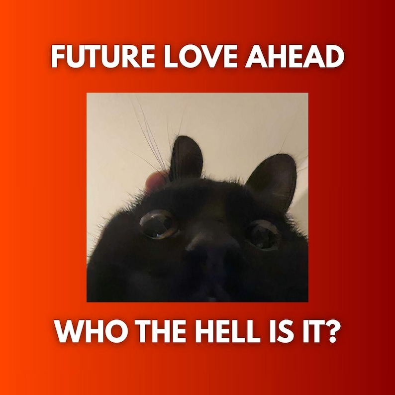May include: A black cat's face fills the frame, with large, round eyes looking directly at the viewer. The image has text that reads "FUTURE LOVE AHEAD" at the top and "WHO THE HELL IS IT?" at the bottom, set against a red gradient background.