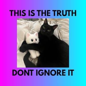 May include: A black cat embracing a white plush cat on a bed. The image features the text "THIS IS THE TRUTH" above and "DONT IGNORE IT" below. The background has a gradient of pink and blue.