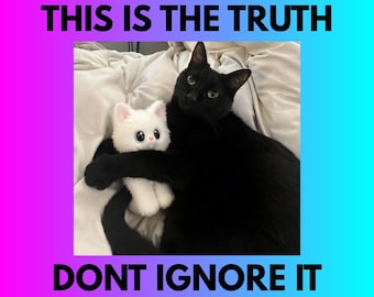 May include: A black cat cuddling a white plush cat on a bed. The image has text that reads "THIS IS THE TRUTH" at the top and "DONT IGNORE IT" at the bottom. The background has a gradient of pink and blue.