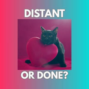 May include: A black cat resting its chin on a large, smooth, pink heart-shaped object. The text DISTANT is printed in white above the cat, and the text OR DONE? is printed in white below the cat against a pink and teal gradient background.