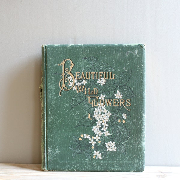 1880s Beautiful Wild Flowers Book D Lothorp