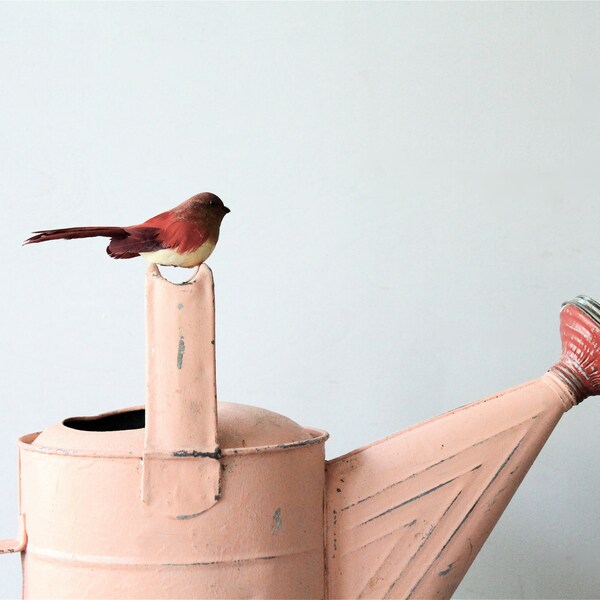 Vintage Watering Can