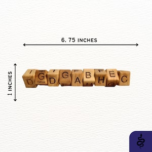 Word Snake Wood Puzzle, Laser Engraved Puzzle, Educational Puzzle, Snake Letter Puzzle, Hardwood Block Puzzle, Family Game Night Activity