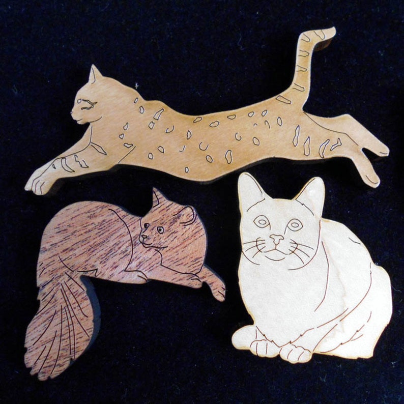 cat lovers puzzle