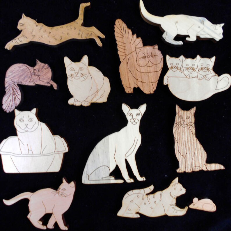 cat lovers puzzle