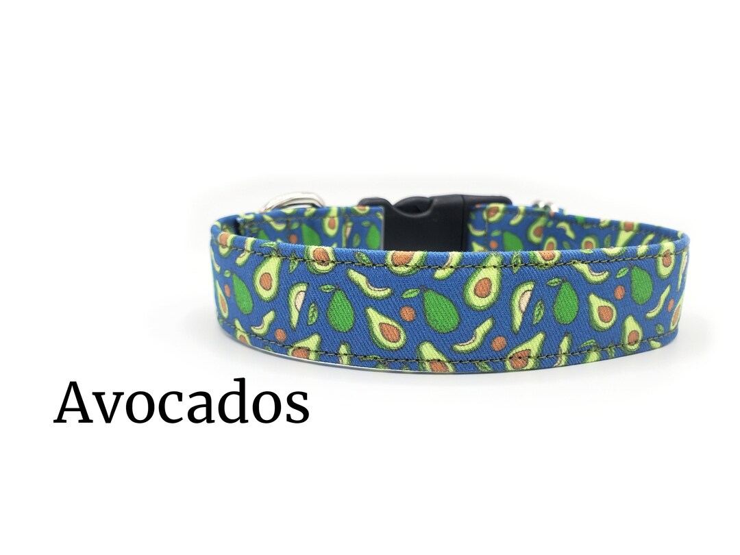 Avocados | Fun and Quirky Food Dog Collar | Fruit - Etsy
