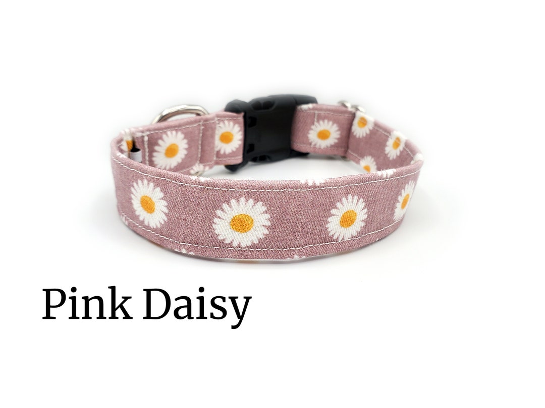 Pink Daisy Dog Collar Collection Flowers Nature Floral
