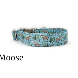 Moose | Animal Dog Collar Collection | Nature