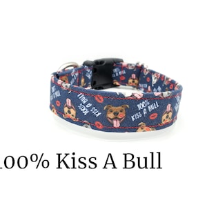 100% Kiss A Bull | Valentine&#39;s Day | Dog Collar Collection | Pitbull Heart