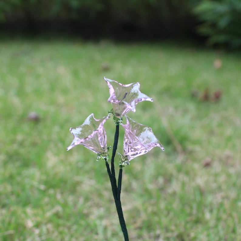 May include: A cluster of three delicate, glass flowers with a soft pink hue. The petals have a star-like shape, and the stems are dark green. The flowers are set against a blurred green background of grass.