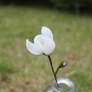 May include: A delicate, handcrafted glass flower with white petals and a yellow center. The flower sits atop a slender, dark green stem with a small, curved leaf. The flower is displayed in a clear glass vase.