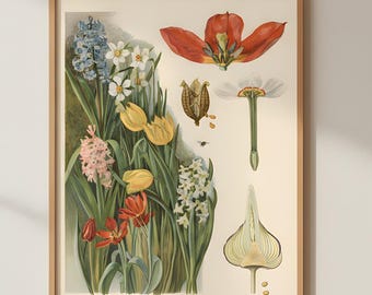 Vintage Botanical Illustration Matte Posters, Botanical Prints, Vertical Wall Art, Nature Decor, Botanical Art, Vintage Plant Poster