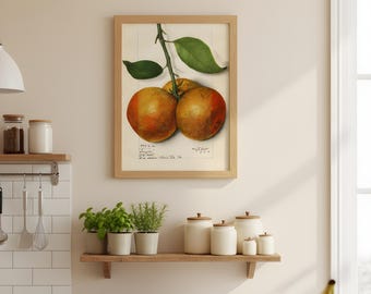 Vintage Orange Kitchen Poster, Matte Vertical Orange Wall Art Print, Retro Kitchen Decor Sign, Fruit Illustration Print, Farmhouse Wall
