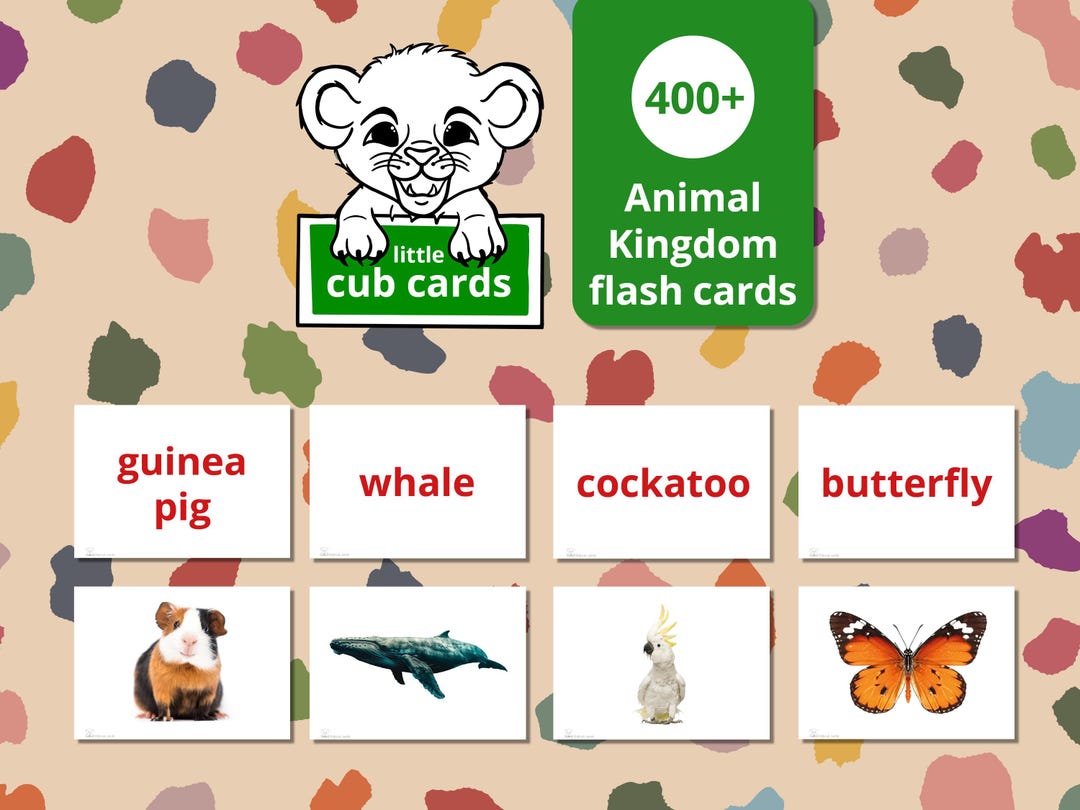 Animal Kingdom Flash Cards for Children - Etsy