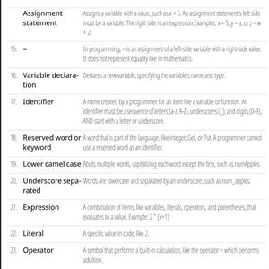 WGU Scripting and Programming image 2