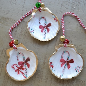 Handmade Scallop Christmas Ornament - Sm. Candycanes