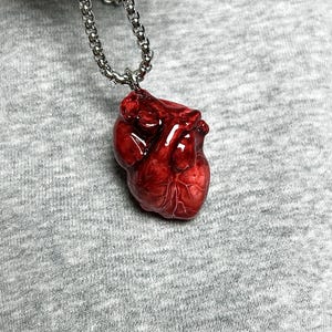 May include: A pendant necklace featuring a detailed, realistic, red heart charm. The heart is suspended from a silver-colored chain. The pendant has a glossy finish, and the chain has a classic link design.