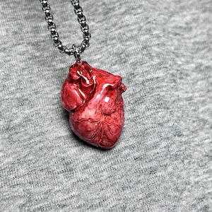 May include: A red, anatomical heart pendant hangs from a silver chain. The heart is detailed with veins and arteries, and has a glossy finish. The chain is a linked style, and the background is a gray fabric.