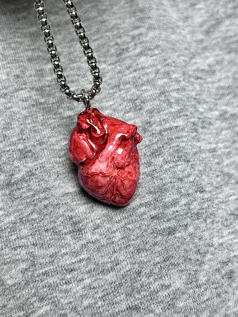 May include: A red, anatomical heart pendant hangs from a silver chain. The heart is detailed with veins and arteries, and has a glossy finish. The chain is a linked style, and the background is a gray fabric.