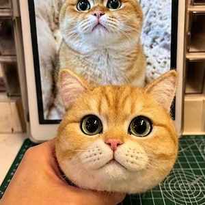 May include: A lifelike, plush cat head with large, expressive green eyes and a pink nose is held in front of a tablet displaying a similar image. The cat's fur is a warm, golden brown color.