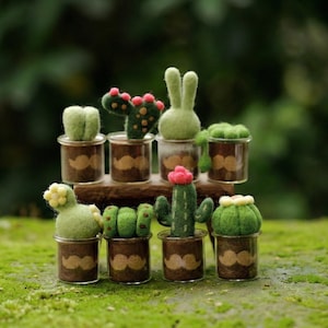 May include: A collection of miniature felt cacti and succulents in small glass jars. The plants are various shades of green, with some featuring red and pink accents. The jars are arranged on a wooden shelf, set against a blurred green background.