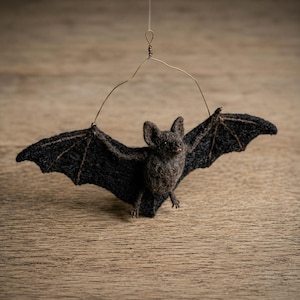 Può includere: Un pipistrello ornamentale in lana infeltrita grigio antracite scuro con ali testurizzate e orecchie a punta. Il pipistrello è sospeso tramite un sottile filo metallico ritorto color bronzo fissato alla parte superiore delle ali.