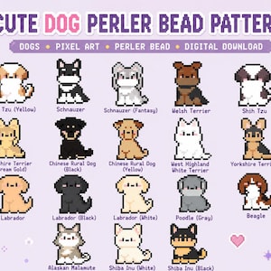 May include: A digital download featuring pixel art dog patterns for Perler beads. The image showcases various dog breeds, including Shih Tzu, Schnauzer, and Labrador, in a cute, colorful style. The text reads "Cute Dog Perler Bead Patterns."