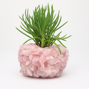 May include: A small, round planter filled with a green plant. The planter is made of pink, irregularly shaped stones. The plant has long, thin, green leaves. The background is plain white.