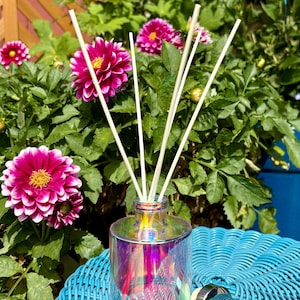 Colección Signature - Difusor de varillas de vidrio prismático de 4 oz