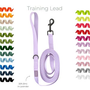 Long Dog Training Lead: Handmade, Lightweight Dog Leash, Short Line, 1" Wide