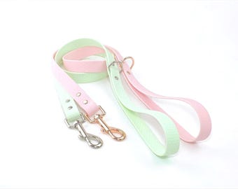 Laisse pour chien souple et imperméable. Laisse longue pour chien, prise main douce en rose et menthe