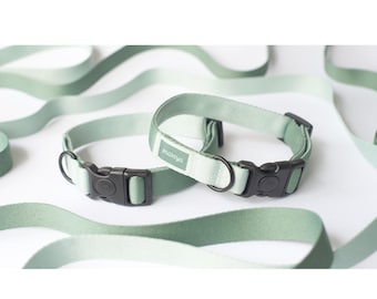 Collier pour chien moderne vert menthe sauge personnalisé : réglable, léger, respectueux de la fourrure. Ensemble collier et laisse