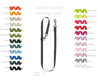 Laisse double pour dressage de chiens : long rappel fait main, laisse courte 2,5 cm (1 po.) de large