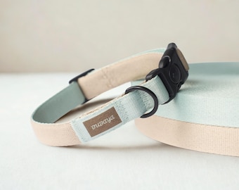 Collier pour chien personnalisé beige et menthe : réglable, léger, sans fourrure. Ensemble collier et laisse