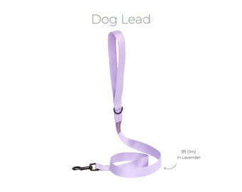 Laisse légère pour chien - Laisse de dressage pour chiot souple et flexible (1 po. de large)