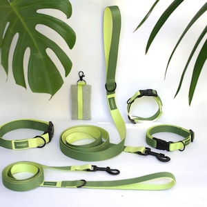 May include: A collection of dog accessories in shades of green and yellow. The set includes collars, leashes, and a small pouch. The items have black hardware and a two-tone design. The accessories are arranged on a white surface with green foliage.