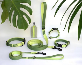 Laisse pour chien solide - Laisse douce et durable pour le dressage du chiot et les promenades du chien, vert botanique