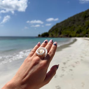 White spiral seashell ring - natural shells jewelery