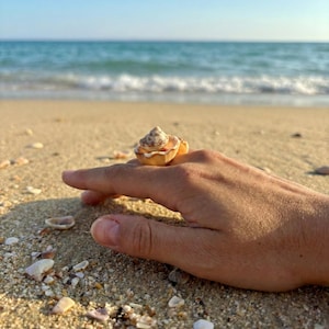 May include: A small, beige seashell sits on a hand, set against a sandy beach with the ocean in the background. The shell is a light tan colour with a spiral design. The beach is covered in sand and small shells, with the blue ocean visible in the distance.