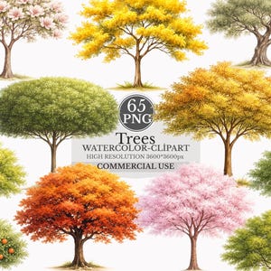 May include: Watercolor clipart of various trees in different seasons. The image includes trees with green, yellow, orange, and pink foliage. The text "65 PNG" and "Trees Watercolor-Clipart" is visible.