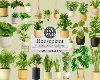 Houseplant Clipart 35 PNG Files Watercolor Plants Illustration Bundle High Resolution Instant Download Commercial Use