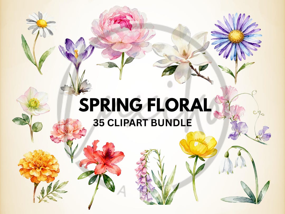 Watercolor Spring Flower Clipart | Botanical PNG Bundle (digital ...