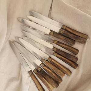 Juego de 10 cuchillos de acero inoxidable con mango de cuerno de París, cubertería francesa vintage, vajilla rústica, juego de cubiertos de comedor de mediados de siglo.