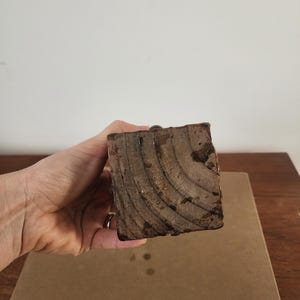 May include: A square-shaped block of dark brown wood with visible circular grain patterns and a rough, textured surface. The object features a small, dark, rounded metal component protruding from the center of the top edge of the wooden block.