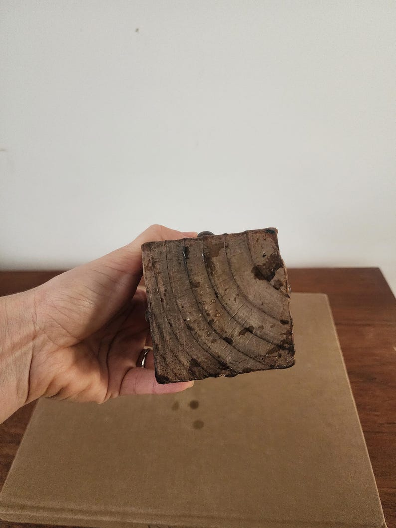 May include: A square-shaped block of dark brown wood with visible circular grain patterns and a rough, textured surface. The object features a small, dark, rounded metal component protruding from the center of the top edge of the wooden block.