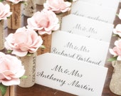 Winery Wedding Place Card Holders | Vineyard Theme Bridal Shower | Blush Pink Rose Wedding Table Decorations