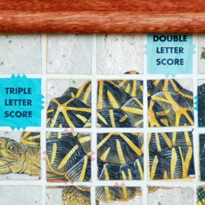 May include: A close-up of a game board with a turtle shell pattern, a woman's face, and the words "Double Letter Score" and "Triple Letter Score" on blue tiles.