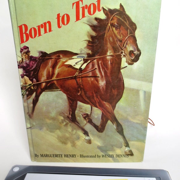 Horsey Book Case for 9 inch Nook HD Plus & Kindle FIre HD, Upcycled from Kids Book, with Horse Print Lining, Fits iPad Too