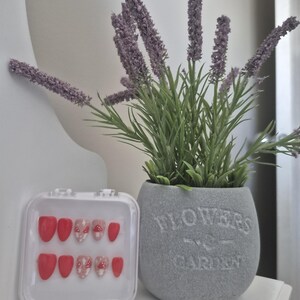 May include: A clear plastic case containing a set of red and mushroom-themed press-on nails. Next to the case is a grey pot with the words "FLOWERS GARDEN" and a lavender plant with green leaves. The items are on a white surface.