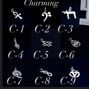 K&ouml;nnte beinhalten: Neun silberne Charms mit verschiedenen Designs, beschriftet C-1 bis C-9. Die Charms beinhalten ein Kreuz, einen Violinschl&uuml;ssel, ein Reh, eine Musiknote, einen keltischen Knoten, eine Spirale, einen Baum, ein Unendlichkeitszeichen und ein Yin-Yang-Symbol.